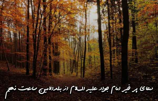 دعای پر خیر امام جواد علیه السلام از بلدالامین ساعت نهم