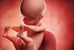 حرز امام جواد برای جلوگیری از سقط جنین