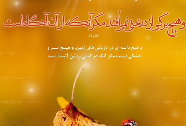 ohnoos2-594x405 ادعيه و اذكار دعا و ختم مجرب ادعيه و اذكار دعا و ختم مجرب